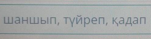 Мәтінде омоним, антоним, синонимдерді орынды қолдану Көп нүктенің орнына қай қатардағы синоним сөзде