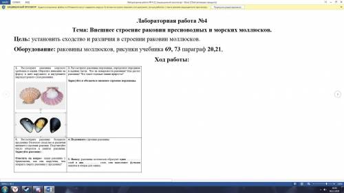 1. Рассмотрите раковины морского гребешка и мидии. Обратите внимание на форму и цвет наружного и вну