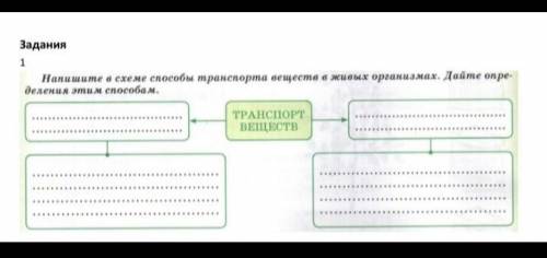 напишите в схеме транспорта веществ в живых организмах дайте определение этим