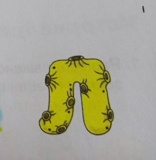 3. На что похожа буква л?​