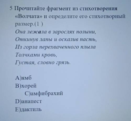 5 Прочитайте фрагмент из стихотворения «Волчата» и определите его стихотворныйразмер. (1)Она лежала