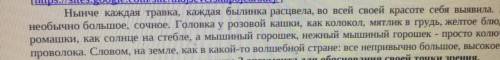 Выпишите из текста метафору: