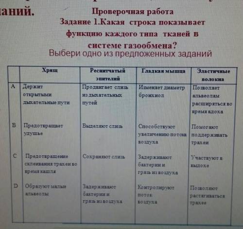 задание 1. Какая строка показывает функцию каждого типа тканей в системе газообмена?​