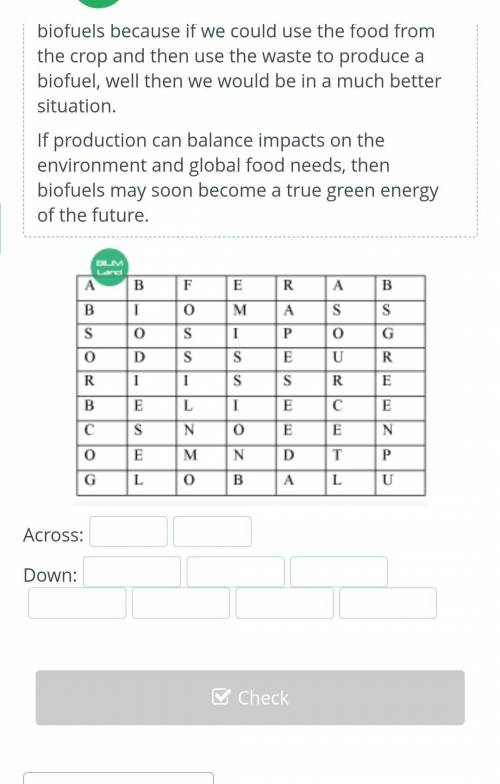 The Eco-industry: Biofuels заранее