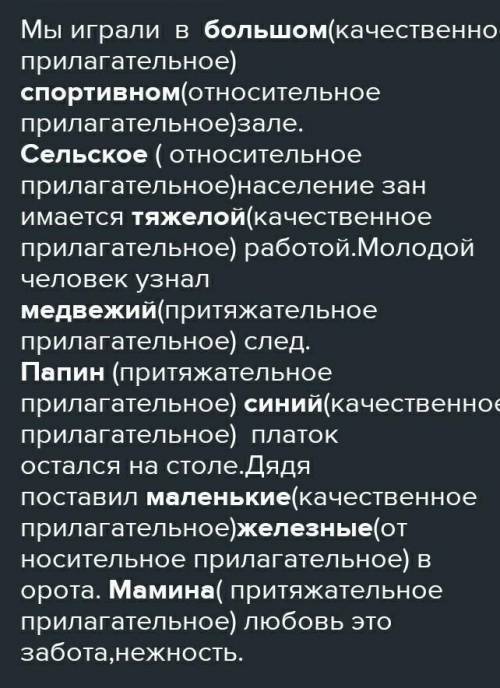Текст с притяжательными прилагательными (4-6 предложения)