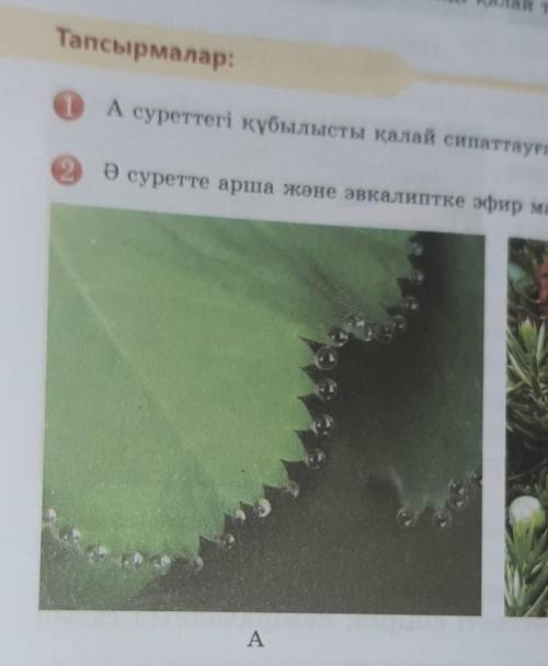 А суреттегі құбылысты қалай сипаттауға болады?​