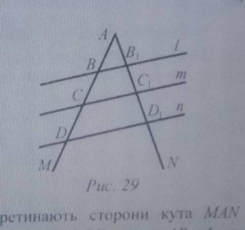 150. I lаралельні прямі l, m і n перетинають сторони кута MAN (рис. 29). Знайдіть довжини відрізків