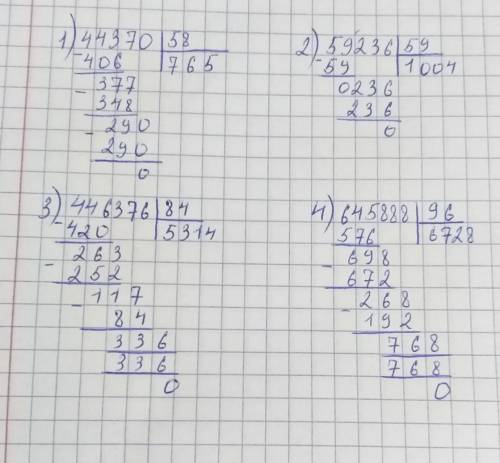 Решите столбиком 44370:58= 59236:59= 446376:84= 645888:96=