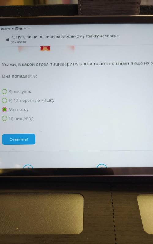 укажи, в какой отдел пищеварительного тракта попадает пища из ротовой полости.​
