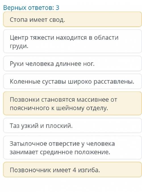 Биомеханические особенности движения человека в связи с прямохождением Выбери верные утверждения об