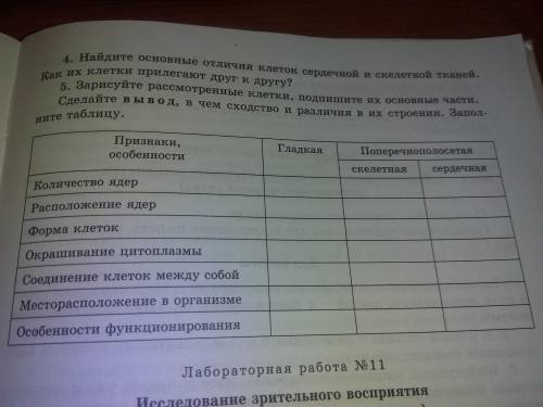 Зарисуйте рассмотренные клетки