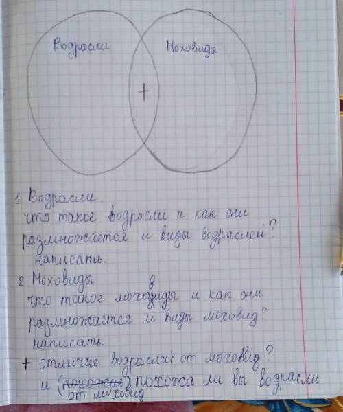клянусь я не вру умоляю вас ​