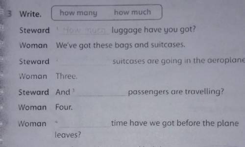 Write how manyhow muchStewardluggage have you got?Woman Weve got these bags and suitcases.Stewardsui