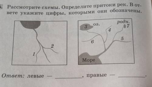 я не понимаю как это делать​