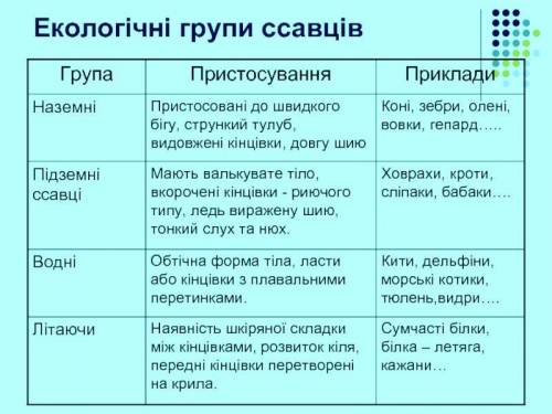 начертить и заполнить таблицу по 8 отрядам млекопитающих 1. Название отряда, 2. Представители, 3. Ос