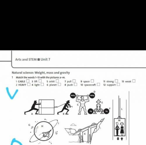 Match the words 1-13 with the pictures a-m