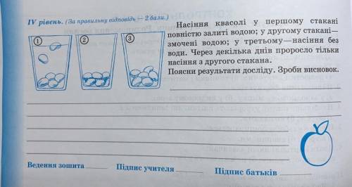 Насіння квасолі у першому стакані повністю залиті водою; у другому стакан— змочені водою; у третьому