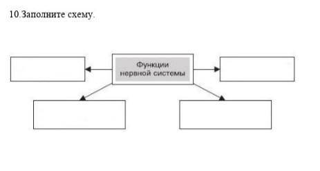 Заполните схему:функции нервной системы​