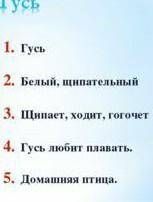 Нужно написать сочинение и синквейн на тему Белый гусь