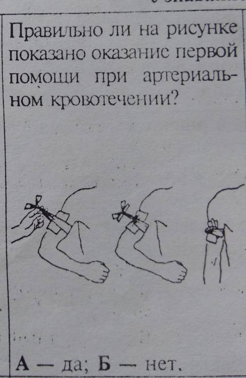 Правильно ли на рисунке показано окозание первой