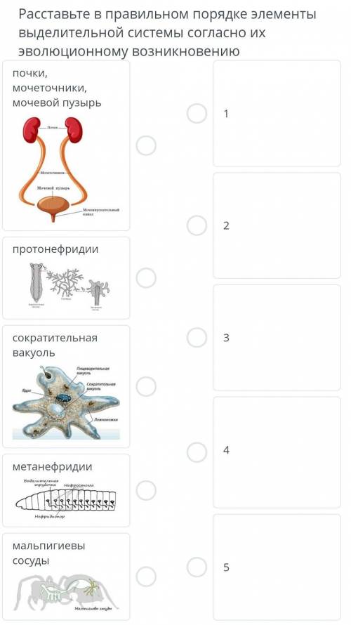 Те кто не правильно ответил на вопрос живаю вам плохое​