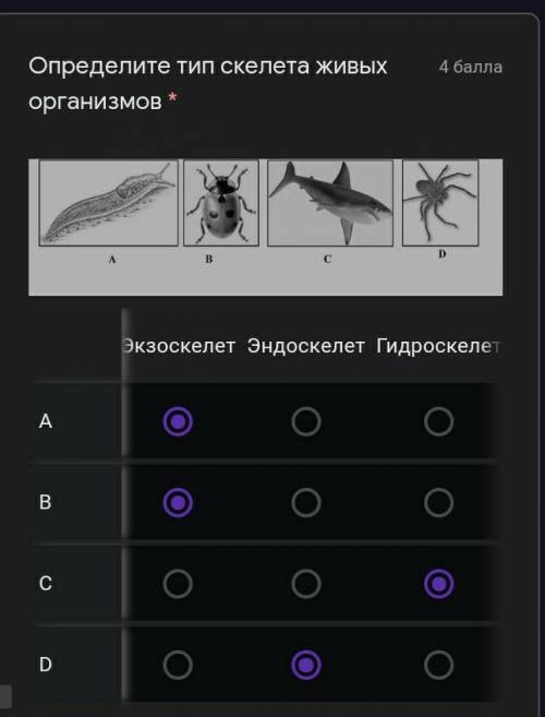 Определите тип скелета живых организмов акулы,слизня,божьей коровки и у паука ​