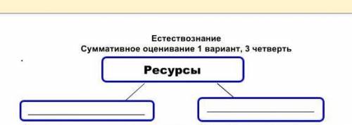 Суммативное оценивание 1 вариант, 3 четверть Ресурсы​