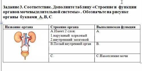 Дополни таблицу строение и функции органов мочевыделительной системы обозначте на рисунке органы бук