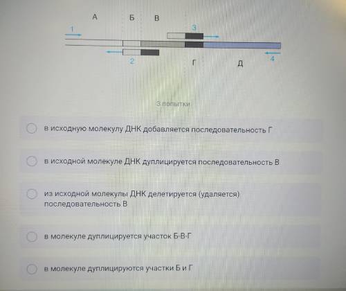 На рисунке схематично показана молекула ДНК и праймеры, используемые для ПЦР. Одинаковым цветом пока