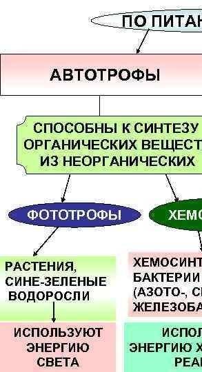 Назовите типы питания живых организмов? автотрофное питаниегетеротрофное питаниеавтотрофное и гетеро