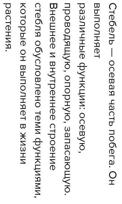 Здравствуйте : конспект на тему внутренняя строение стебля​