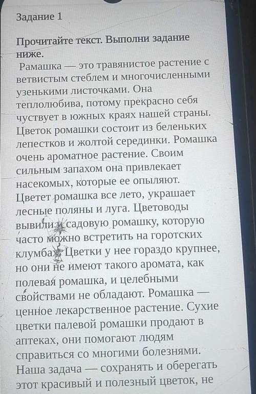 Чуствует в южных краях нашей страны. Цветок ромашки состоит из беленькихлепестков и жолтой серединки