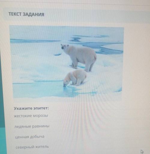 ТЕКСТ ЗАДАНИЯ Укажите эпитет:жестокие морозыледяные равниныценная добычасеверный житель​