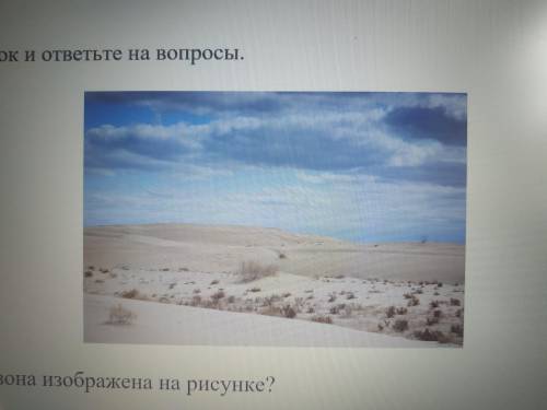 Какая природная зона изображена на рисунке? а) Пустыня б) Полупустыня