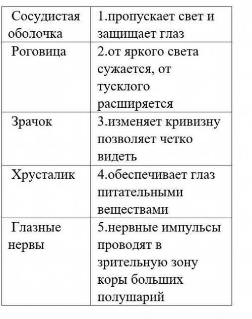 Нужно определить их функции ​