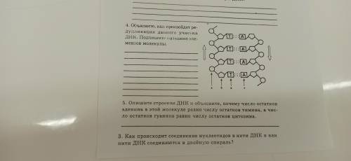 с этим. Я не понимаю как делать это.