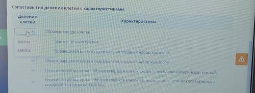 Митоз. Мейоз. Биологическое значение митоза и мейоза Сопоставь тип деления клетки с характеристиками