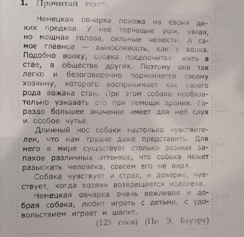 В тексте выполнить разбор (разбор номер 2) всех прилагательных.