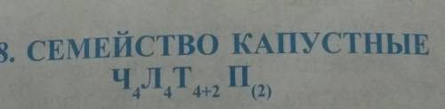 Это по биологии можете объяснить именно что означает ⁴+² и (²)​