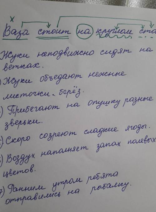 разбор предложения по членам.​
