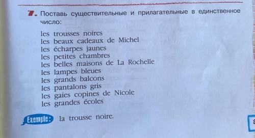 Поставь существительное и прилагательное в единственное число. ​