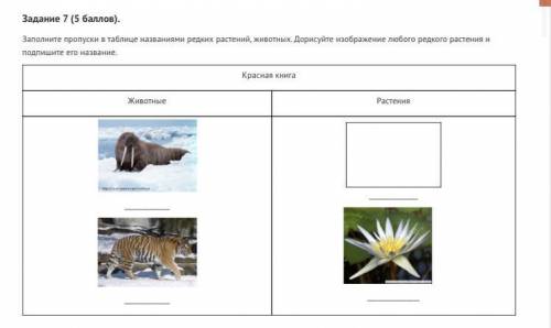 скажите редкое растение или нарисуйте и скажите как он называетьсч