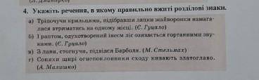 в каком из этих предложений правельно.​