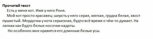 .Из каких частей состоит текст о коте.Запиши предложение-зачин.​​