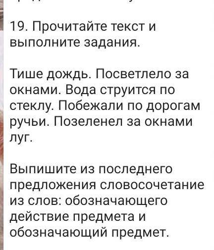 СОЧ по Русскому языку побыстрей​