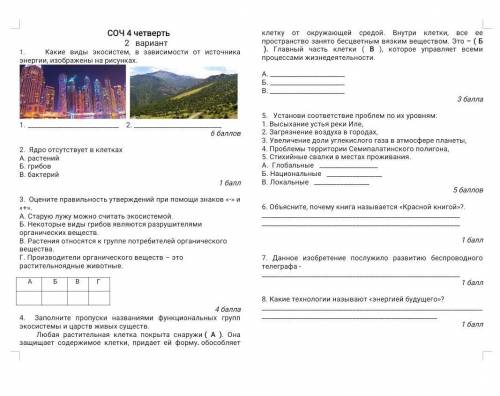 Заполните пропуски названиями функциональных групп экосистемы и царств живых существ. Любая растител