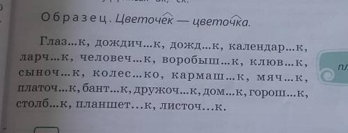 Спишите существительные, вставьте пропущенные буквы в суффиксах ИК ек образец цветочек цветочка