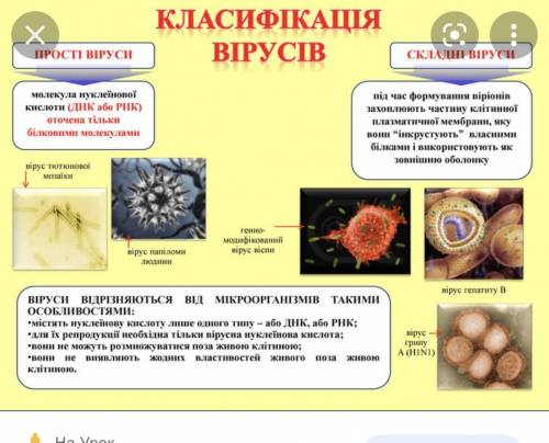 Чотири властивості, за якими віруси можуть відрізнятися один від одного?