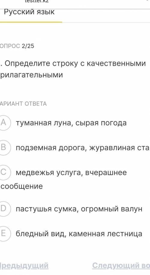 этот тест по русскому языку