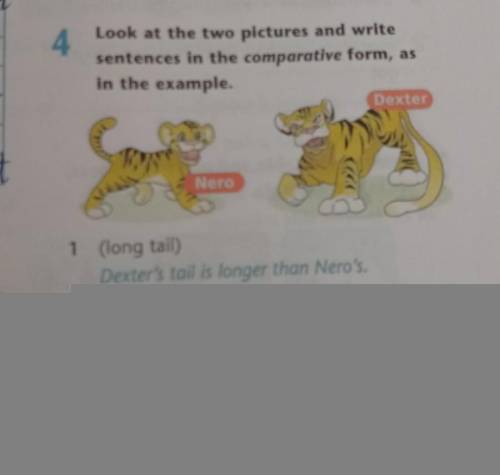 Look at the two pictures and write sentences in the comparative form, as in the example. 1 (long tai